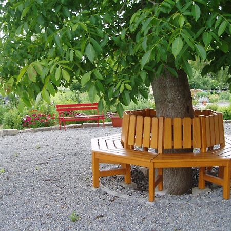Weinhof Am Nussbaum Hotel Willanzheim Eksteriør billede
